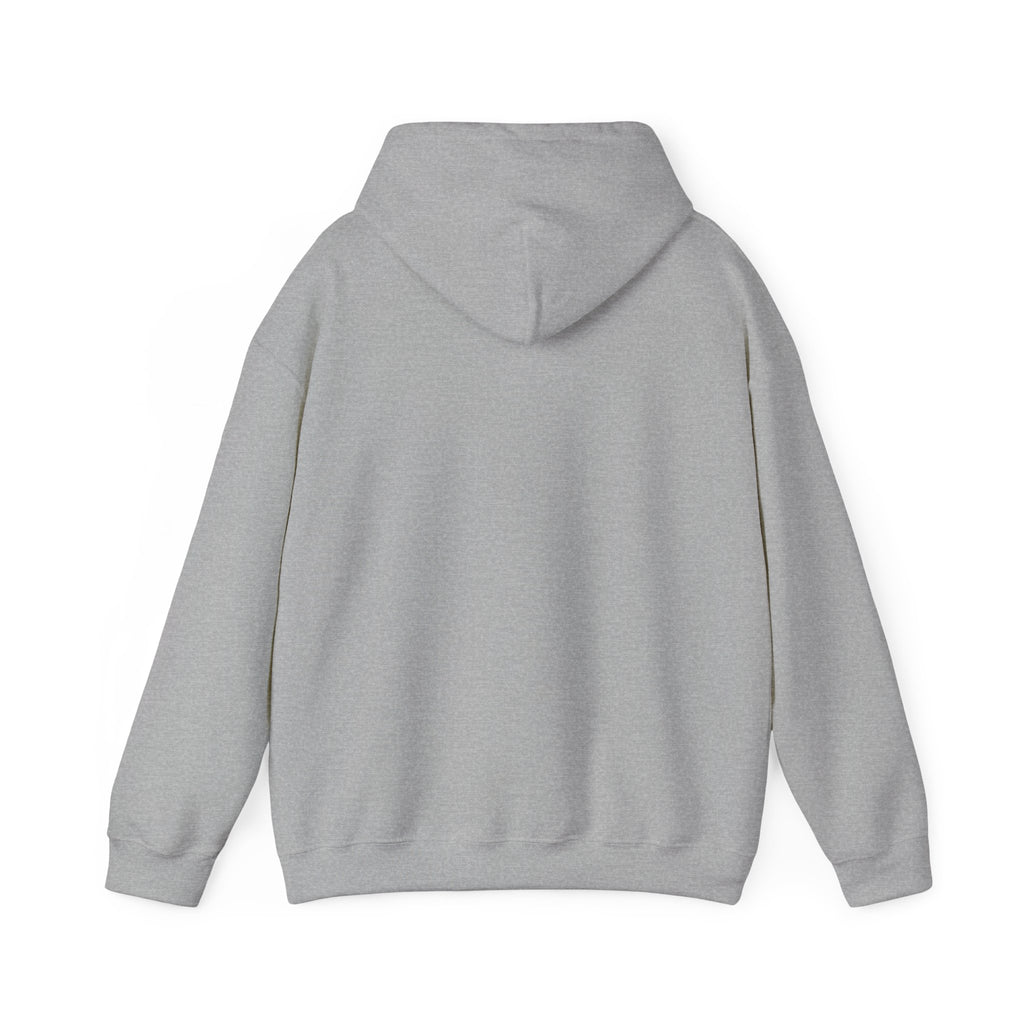 PA Academic Decathlon Hoodie — PAAD Logo College Team Sweatshirt