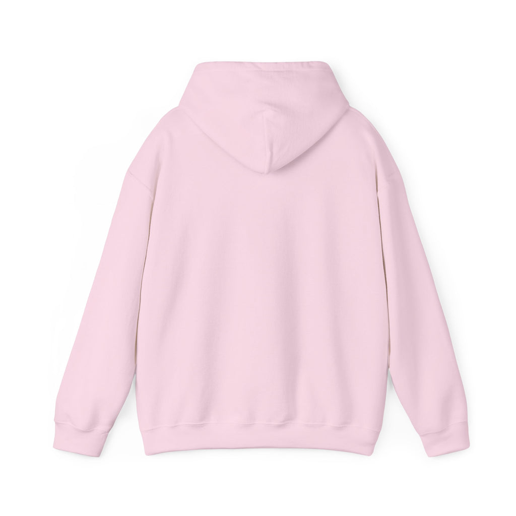 PA Academic Decathlon Hoodie — PAAD Logo College Team Sweatshirt