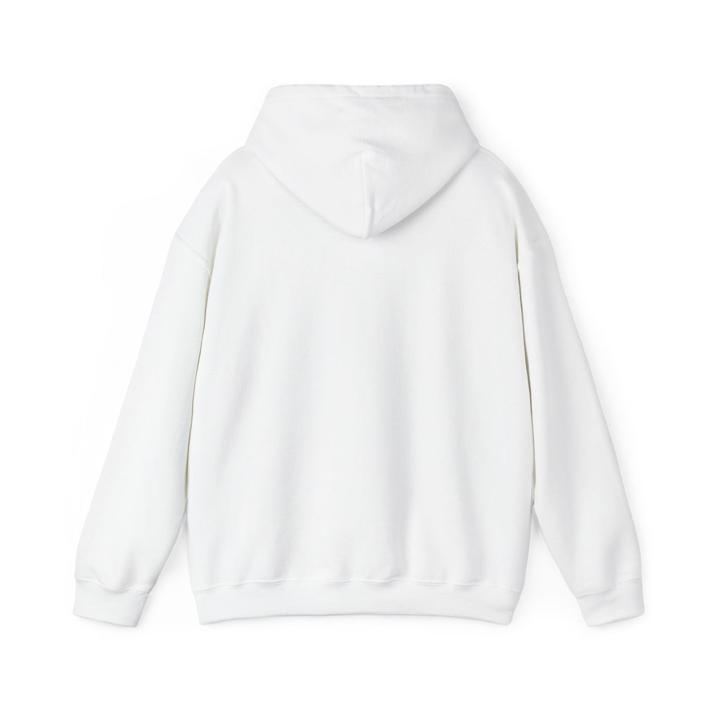 PA Academic Decathlon Hoodie — PAAD Logo College Team Sweatshirt