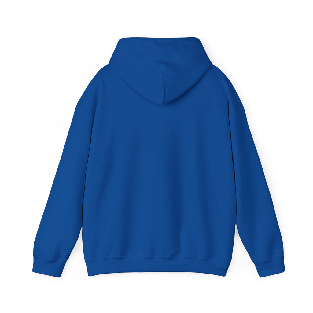 PA Academic Decathlon Hoodie — PAAD Logo College Team Sweatshirt