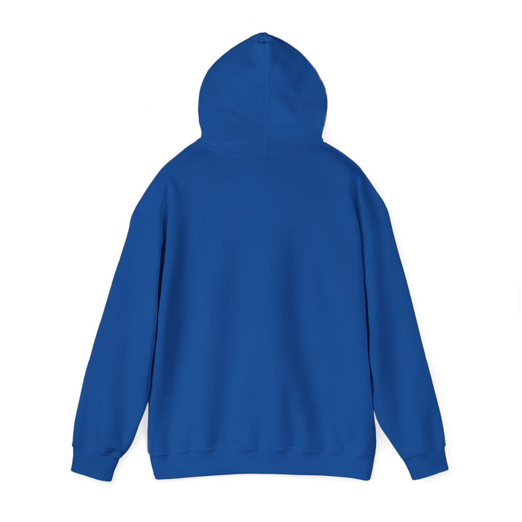 PA Academic Decathlon Hoodie — PAAD Logo College Team Sweatshirt