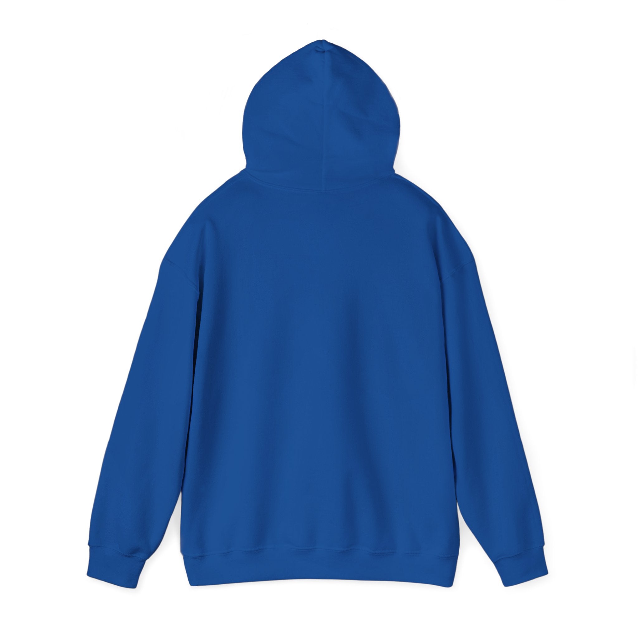 PA Academic Decathlon Hoodie — PAAD Logo College Team Sweatshirt