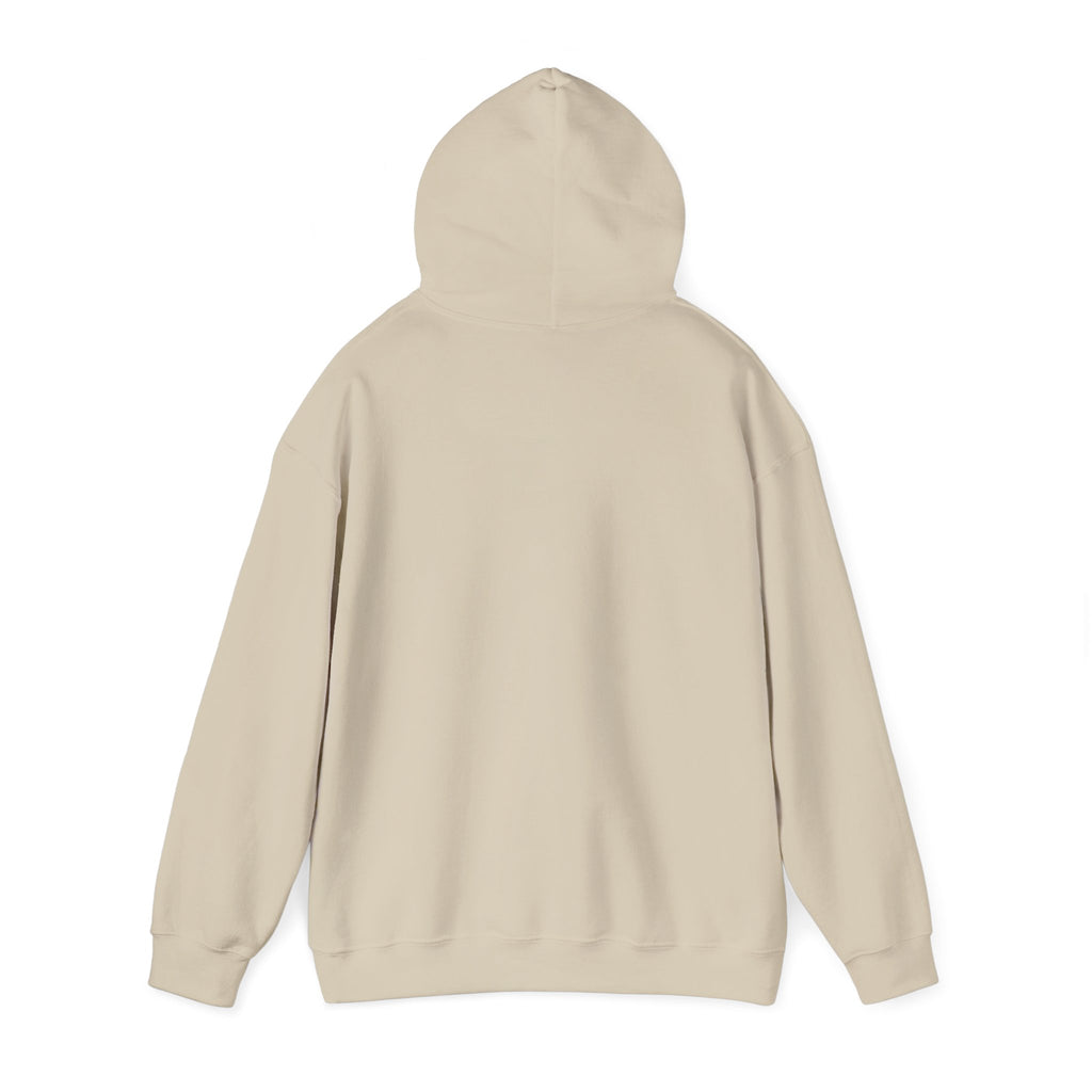PA Academic Decathlon Hoodie — PAAD Logo College Team Sweatshirt