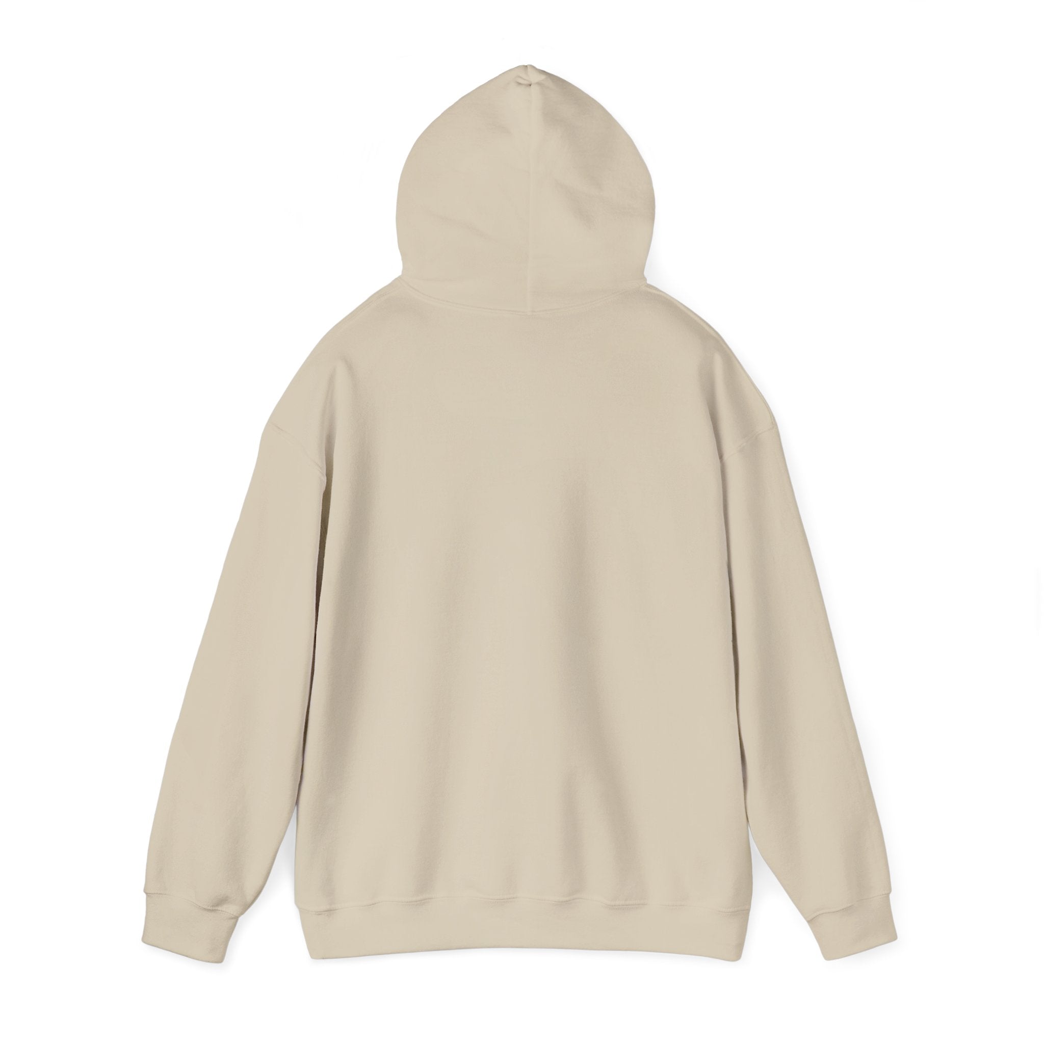 PA Academic Decathlon Hoodie — PAAD Logo College Team Sweatshirt
