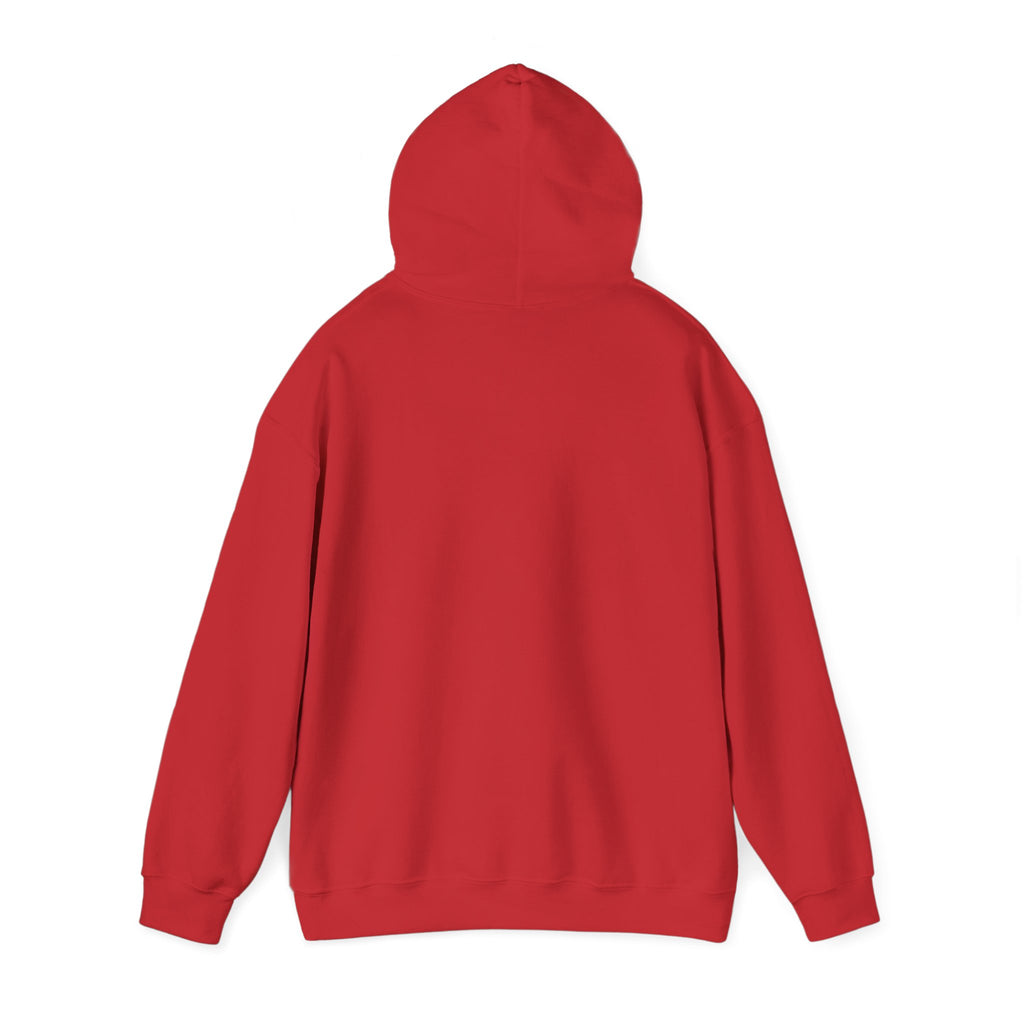 PA Academic Decathlon Hoodie — PAAD Logo College Team Sweatshirt