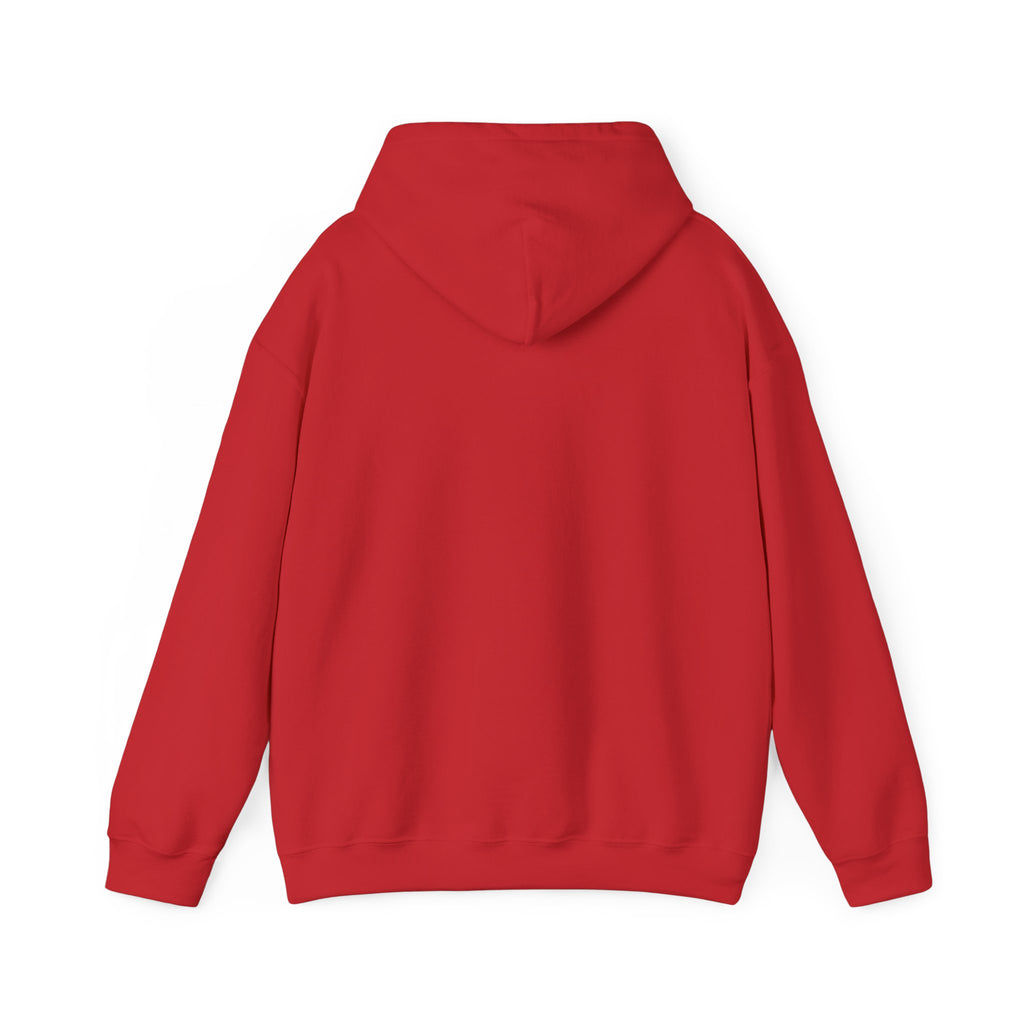 PA Academic Decathlon Hoodie — PAAD Logo College Team Sweatshirt