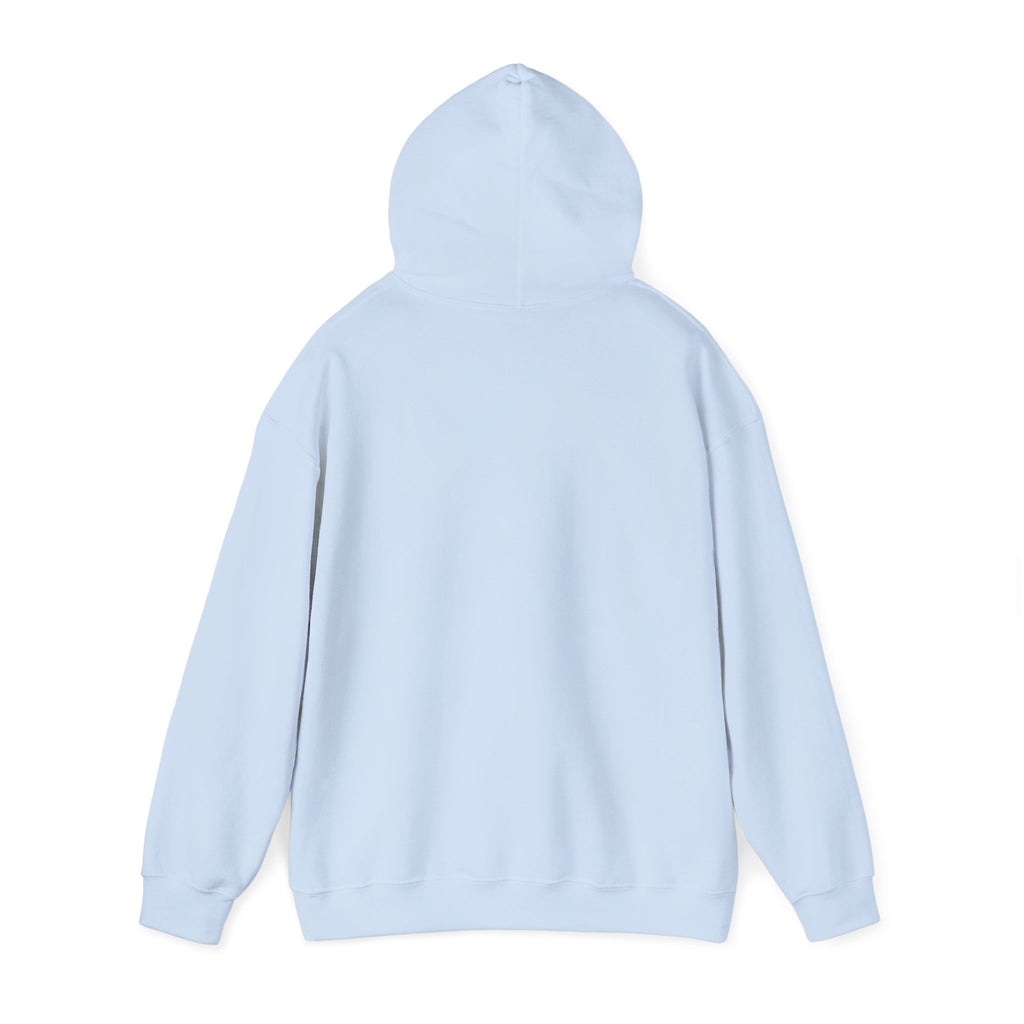 PA Academic Decathlon Hoodie — PAAD Logo College Team Sweatshirt