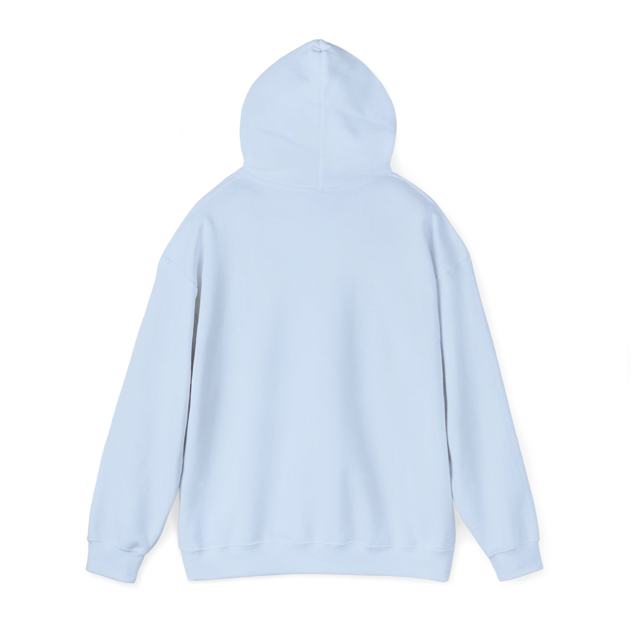 PA Academic Decathlon Hoodie — PAAD Logo College Team Sweatshirt
