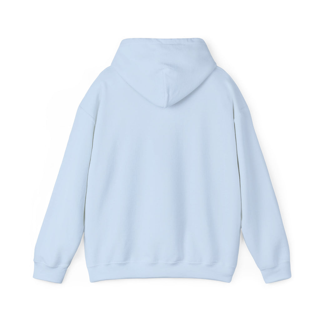 PA Academic Decathlon Hoodie — PAAD Logo College Team Sweatshirt