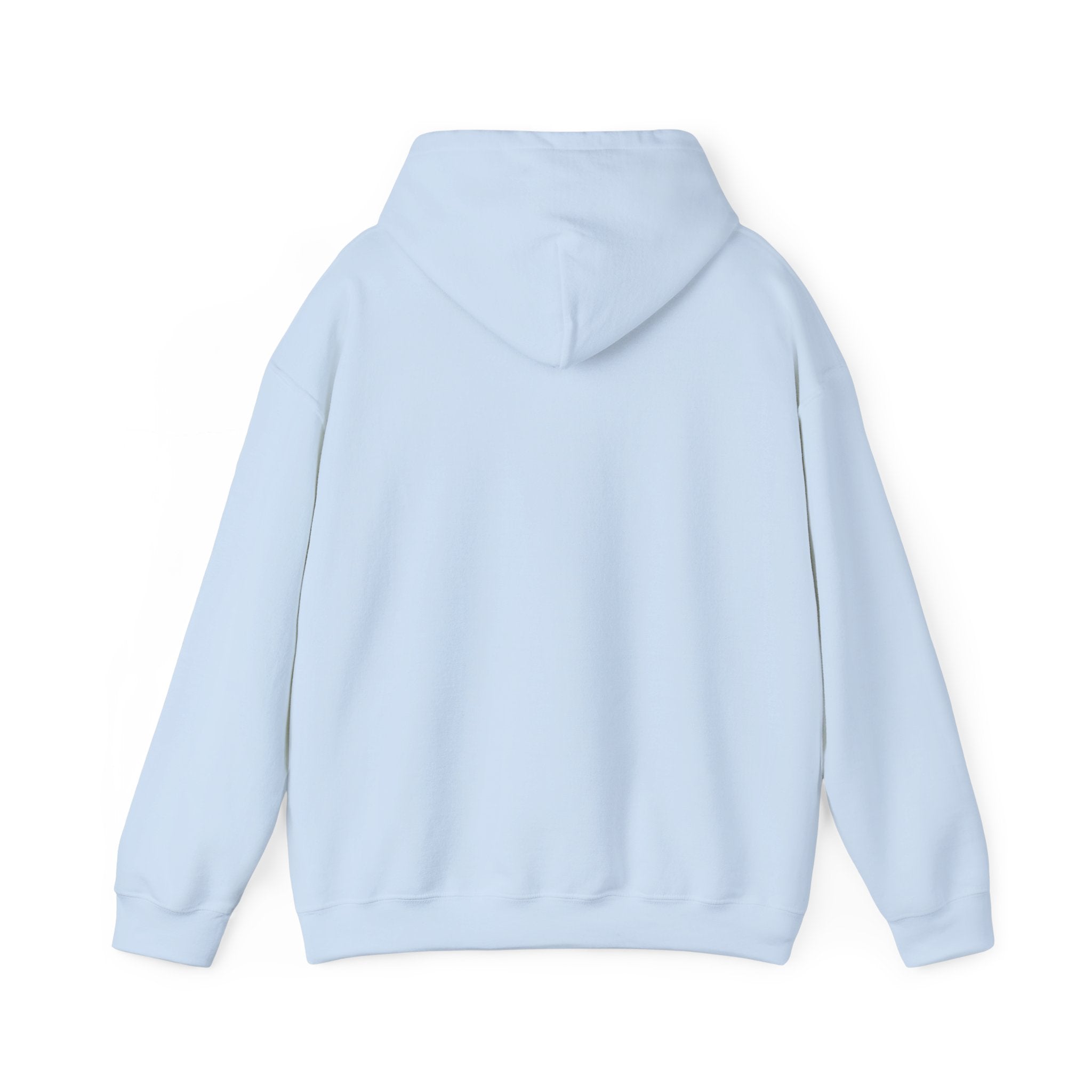 PA Academic Decathlon Hoodie — PAAD Logo College Team Sweatshirt