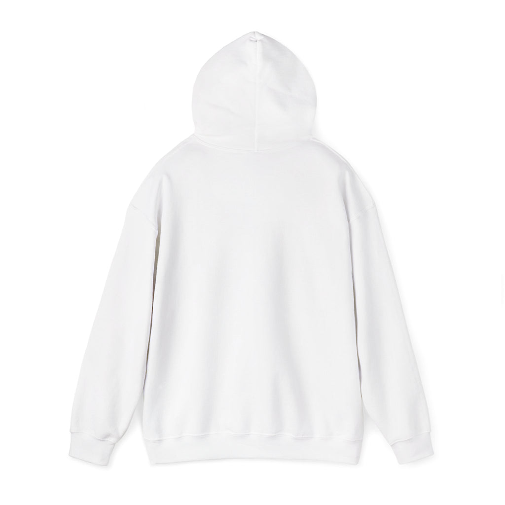 PA Academic Decathlon Hoodie — PAAD Logo College Team Sweatshirt