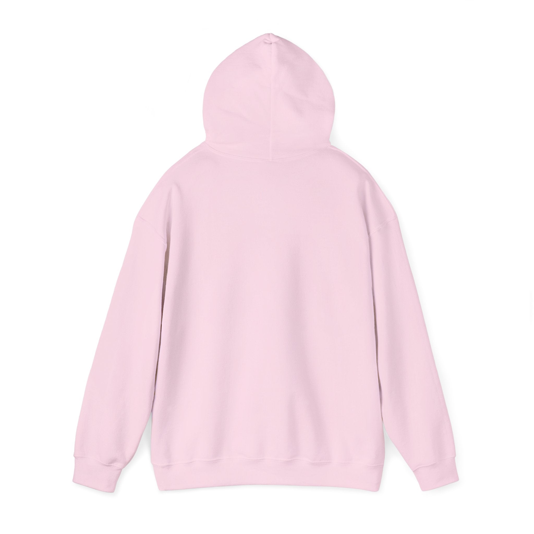 PA Academic Decathlon Hoodie — PAAD Logo College Team Sweatshirt