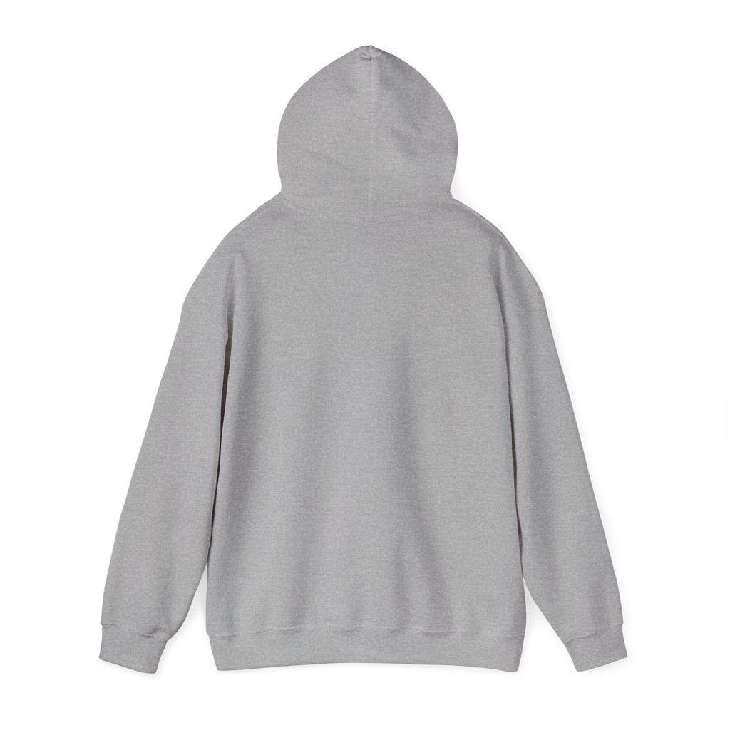 PA Academic Decathlon Hoodie — PAAD Logo College Team Sweatshirt