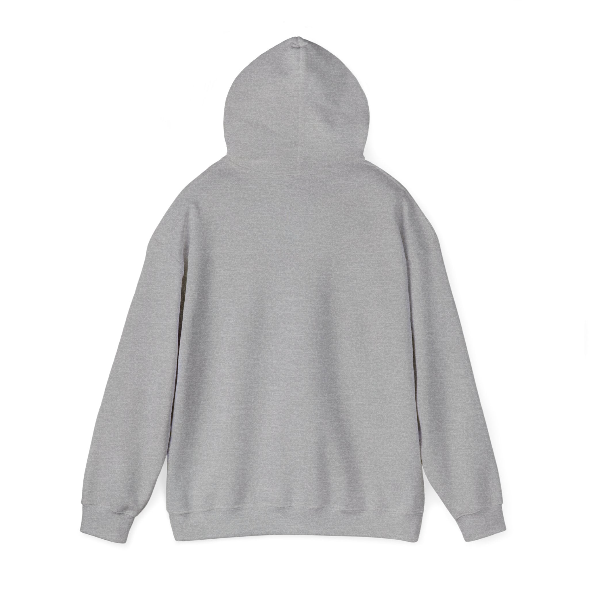 PA Academic Decathlon Hoodie — PAAD Logo College Team Sweatshirt